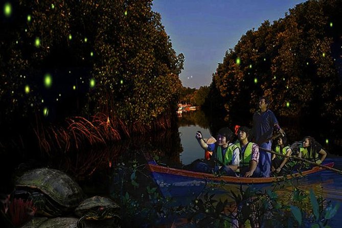 Fireflies Night Tour